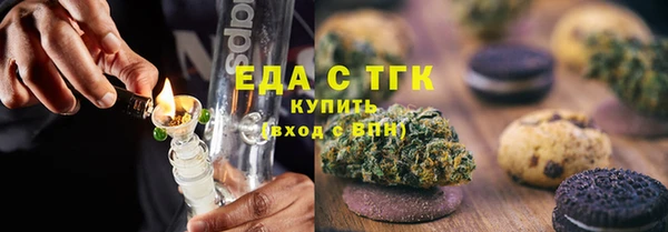 spice Гусев