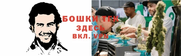 ALPHA PVP Горняк