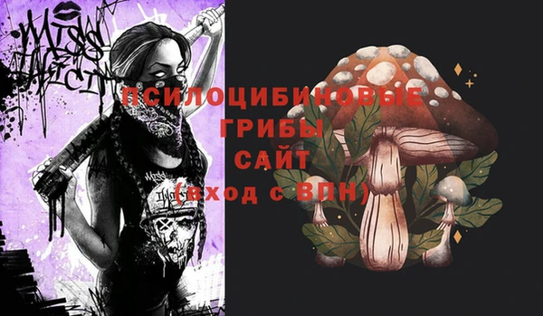 ПСИЛОЦИБИНОВЫЕ ГРИБЫ Горнозаводск