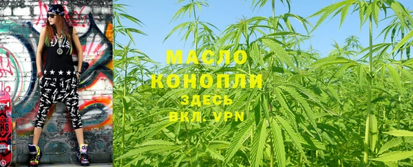 spice Гусев