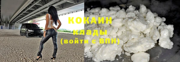 spice Гусев