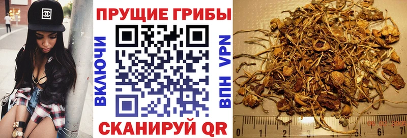 Псилоцибиновые грибы GOLDEN TEACHER  Кинешма 